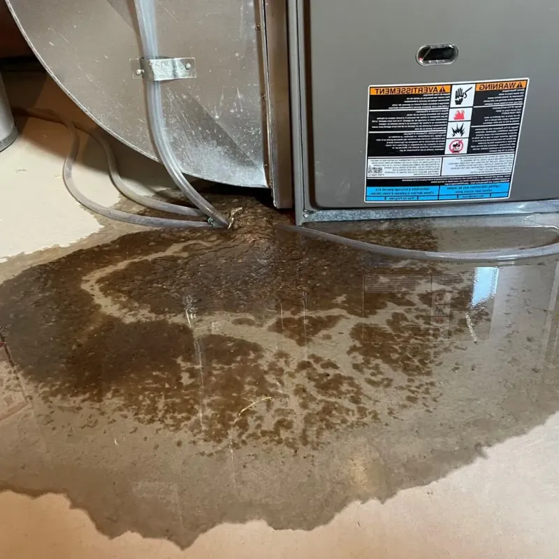 Pipe Burst and Leak Restoration in Happy Valley, OR