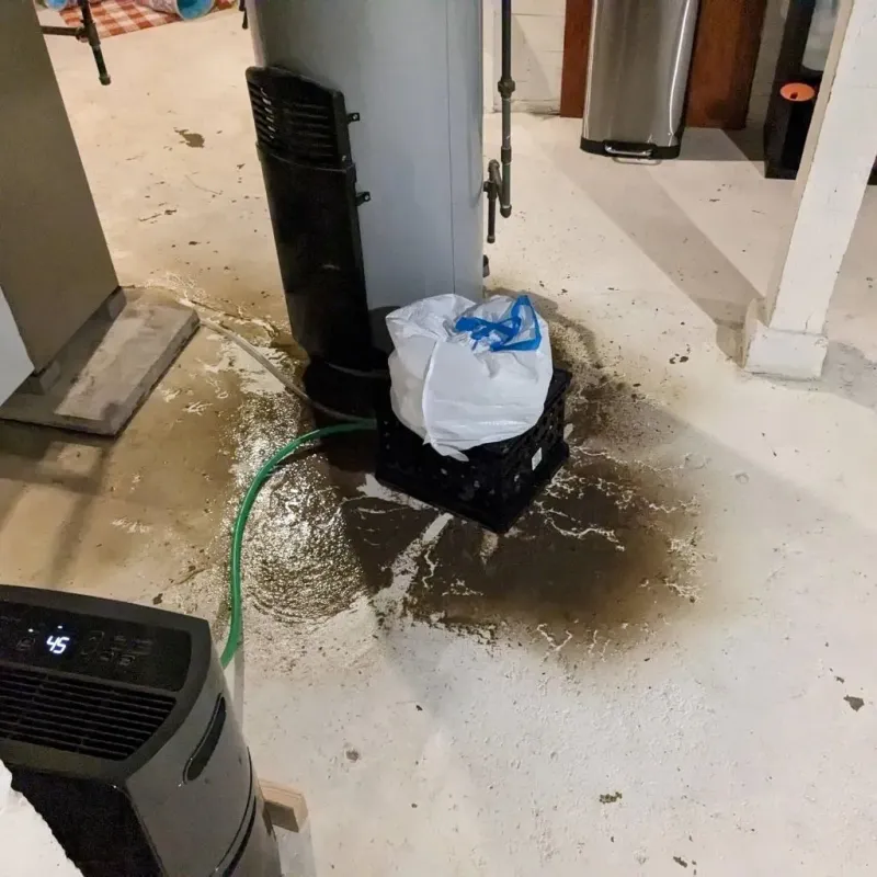 Sewage Backup Cleanup Service in Happy Valley, OR